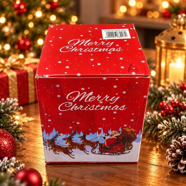 KAR KÜRESİ NOEL BÜYÜK (1 KOLİ 24 PK)