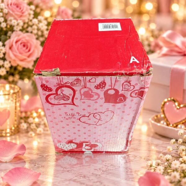 KAR KÜRESİ AŞK BÜYÜK (1 KOLİ 24 PK)