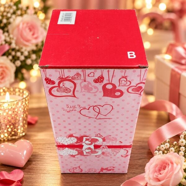 KAR KÜRESİ AŞK BÜYÜK (1 KOLİ 24 PK)