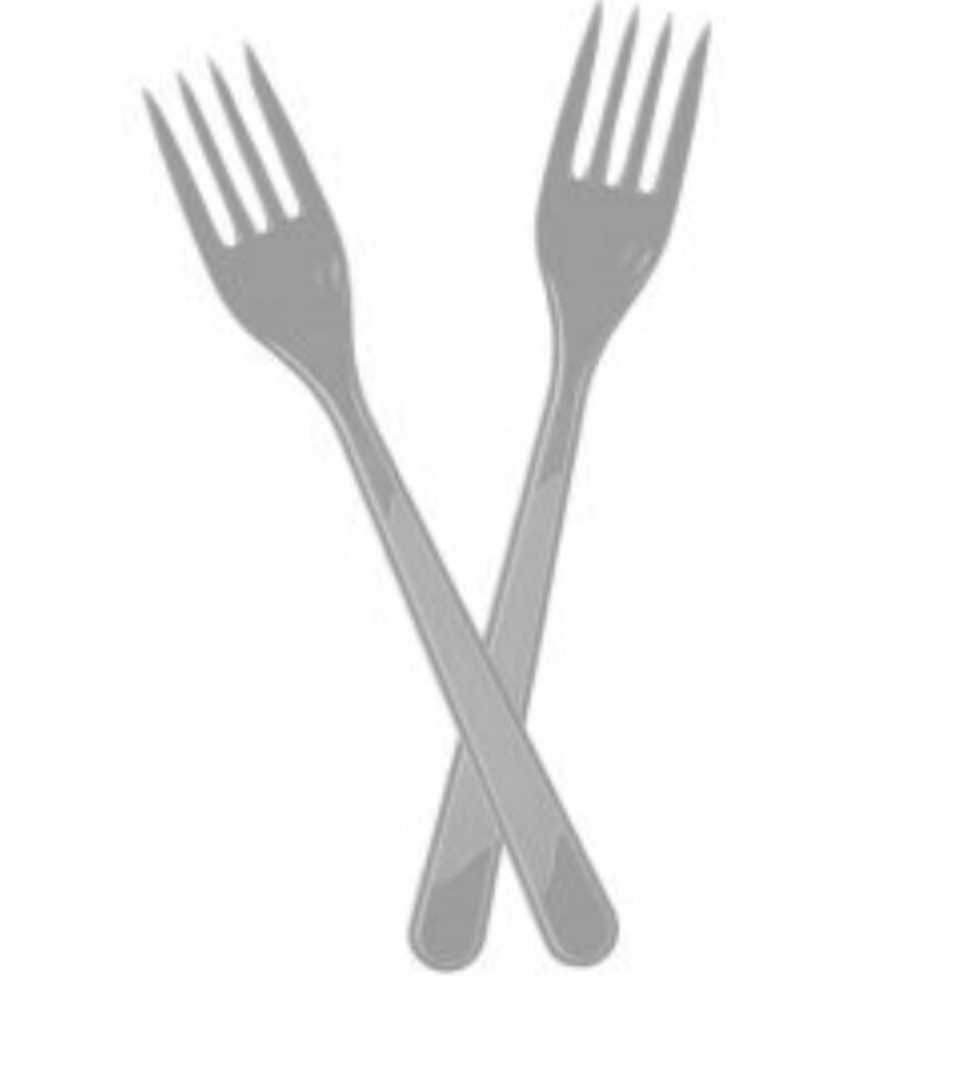 ÇATAL PLS GÜMÜŞ 25Lİ