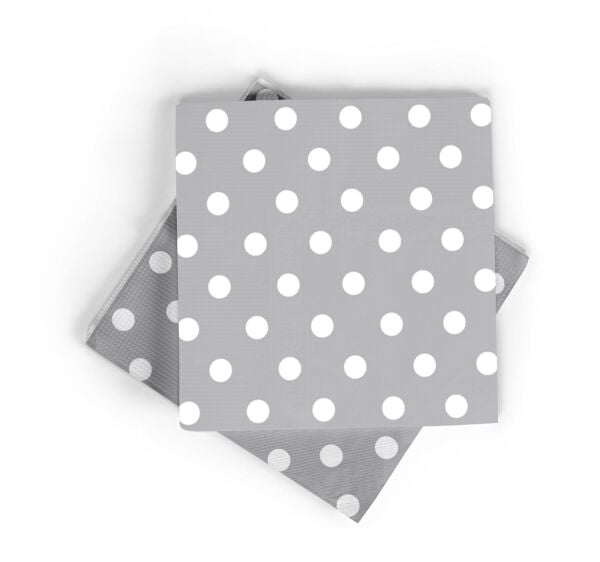 PUANLI PEÇETE GÜMÜŞ