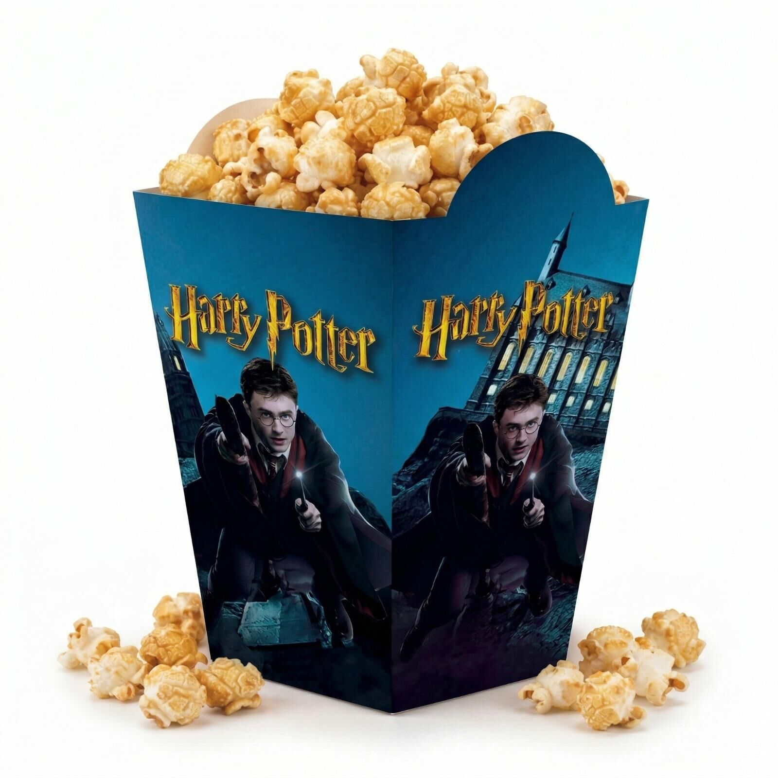 MISIR KUTUSU HARRY POTTER  8 Lİ