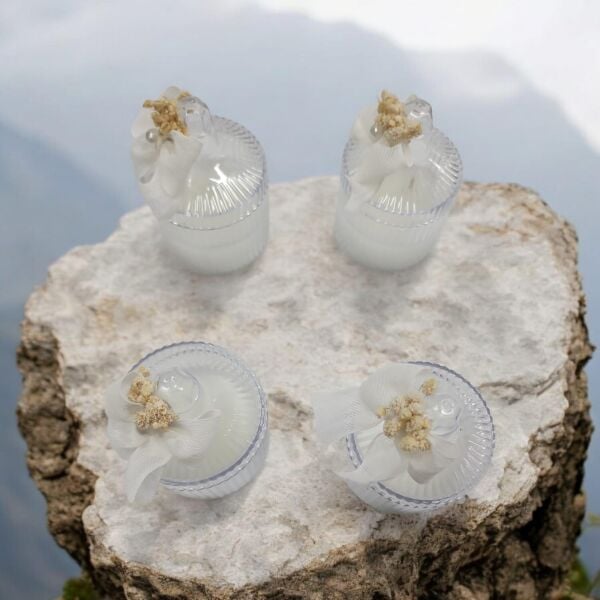 MUM TN ŞEKERLİK 12 Lİ