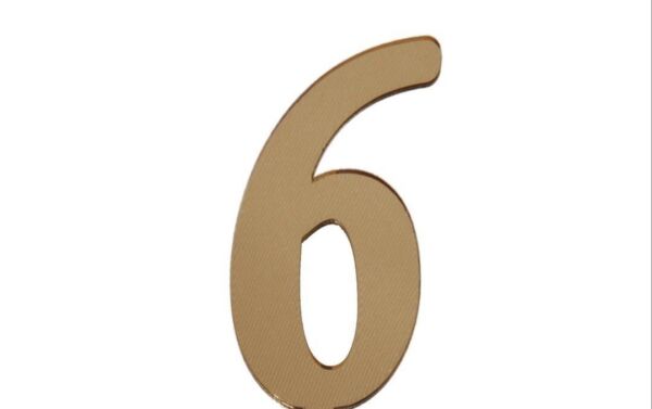 PLEKSİ 20 Lİ RAKAM ALTIN NO:6