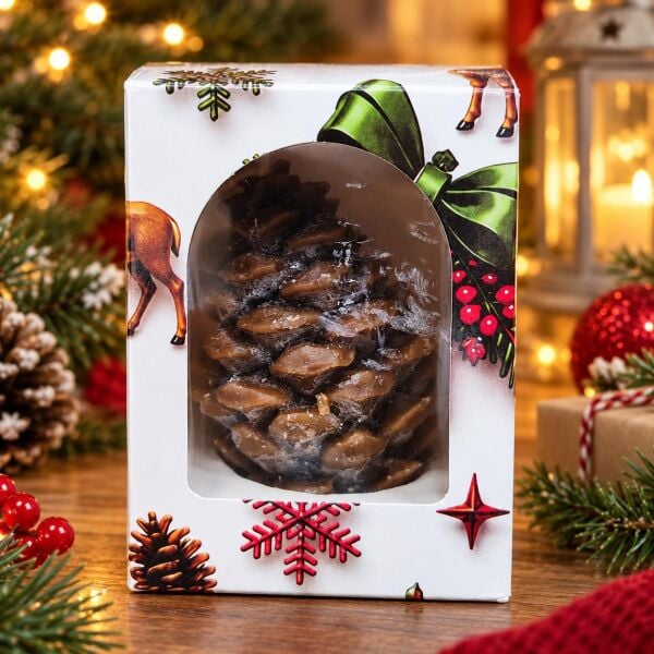 MUM NOEL KOZALAK (1 KOLİ 48 PK)