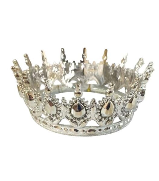 PLS TAÇ  TAM TUR GÜMÜŞ