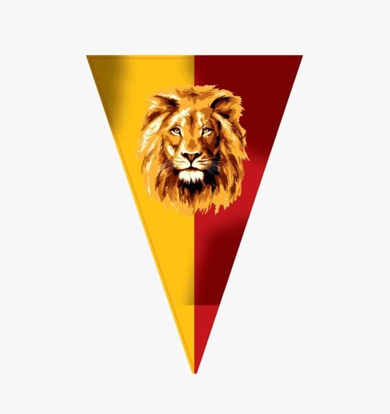 FLAMA GALATASARAY