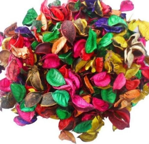 GÜL KURUSU BÜYÜK PK RENKLİ